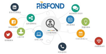 北京人力資源服務網 人力信息咨詢的多維價值與實踐路徑
